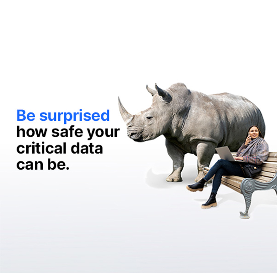 Person sitting on a bench with a rhino behind them.