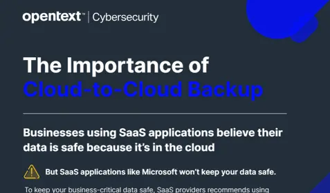 The importance of Cloud-to-Cloud Backup