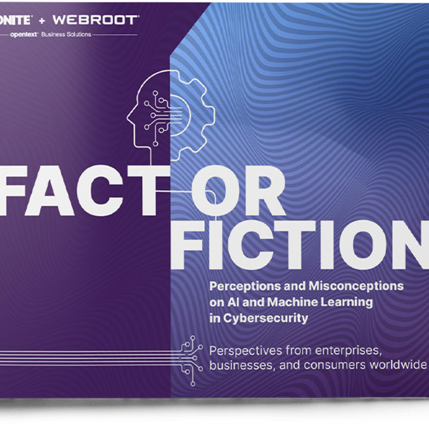 Report: Fact or Fiction, Perceptions and Misconceptions on AI and Machine Learning in Cybersecurity