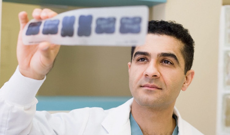 Dentist viewing Xrays