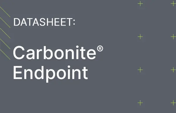 Carbonite Endpoint datasheet