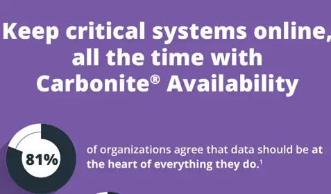 Infographic on Keep critical systems online with Carbonite