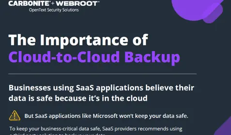 The importance of Cloud-to-Cloud Backup