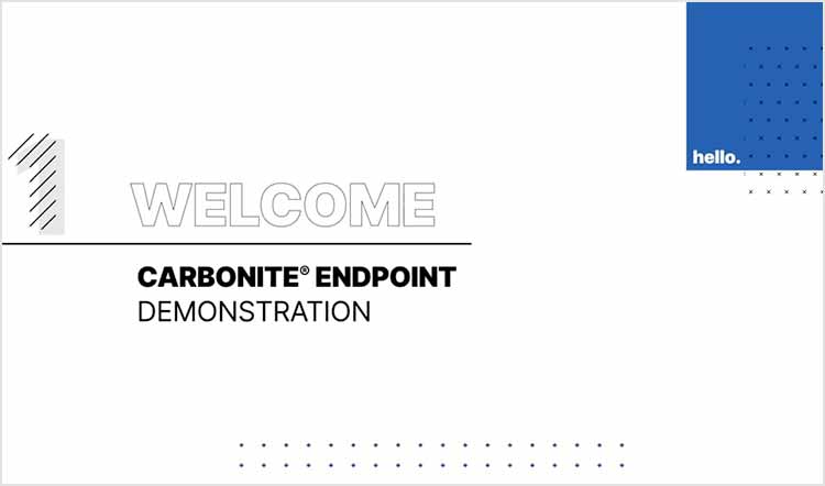 Endpoint Demonstration