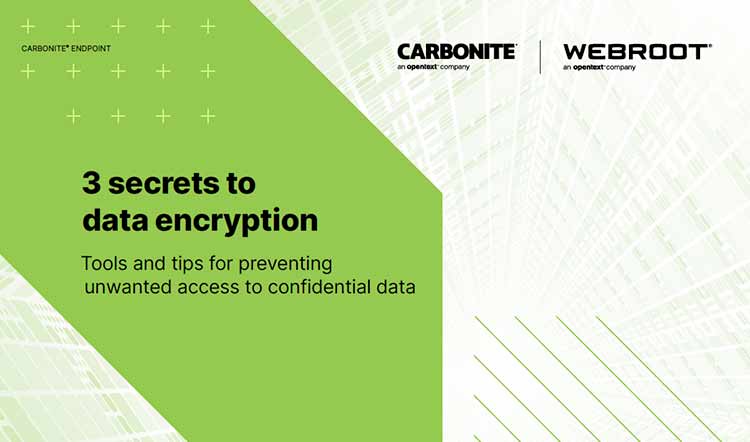 White paper/eBook | 3 secrets to data encryption