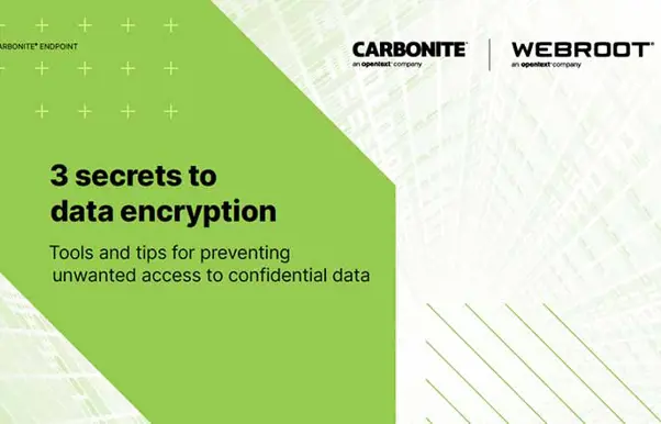 White paper/eBook | 3 secrets to data encryption