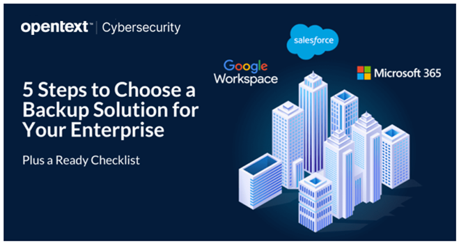 Enterprise cloud backup solutions.